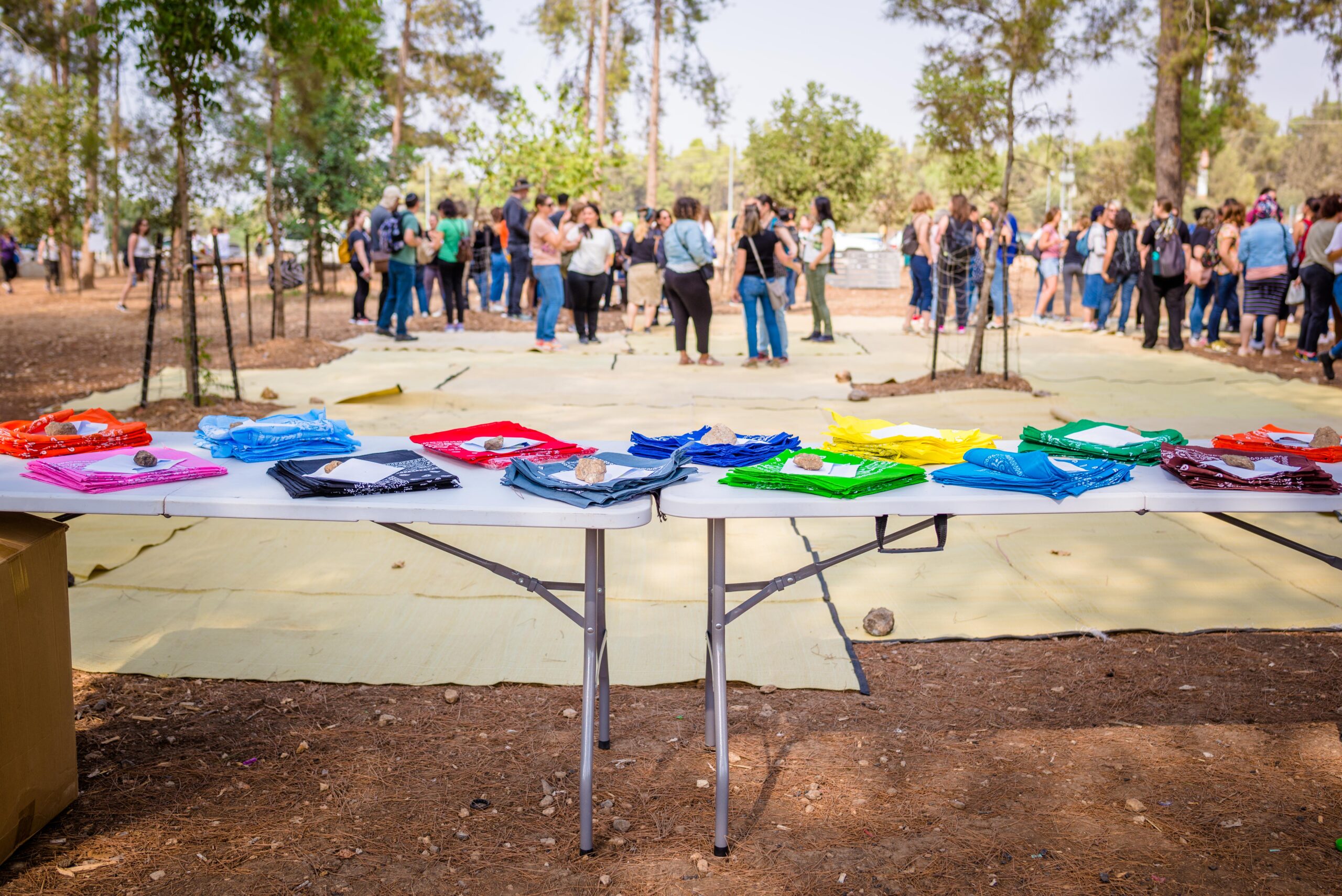 חלוקה לקבוצות ביום גיבוש וכיף לצוות העובדים ביער בן שמן -OUTMIND