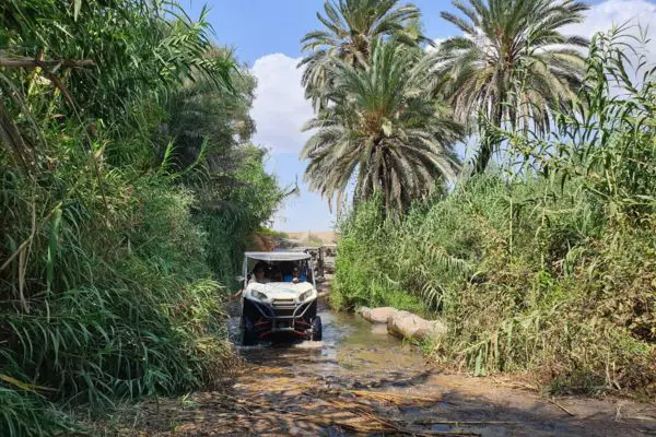 טיול ג'יפים בטבע ויום כיף לעובדים בארגון של OUTMIND